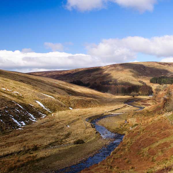 Forest of Bowland