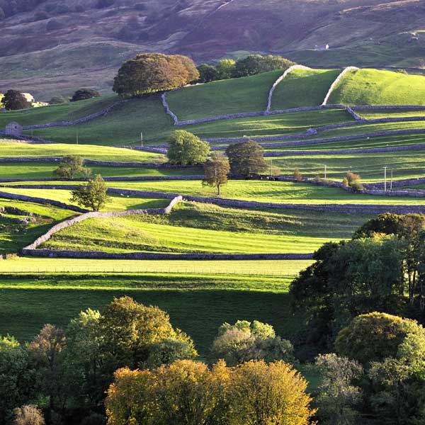 Yorkshire Dales